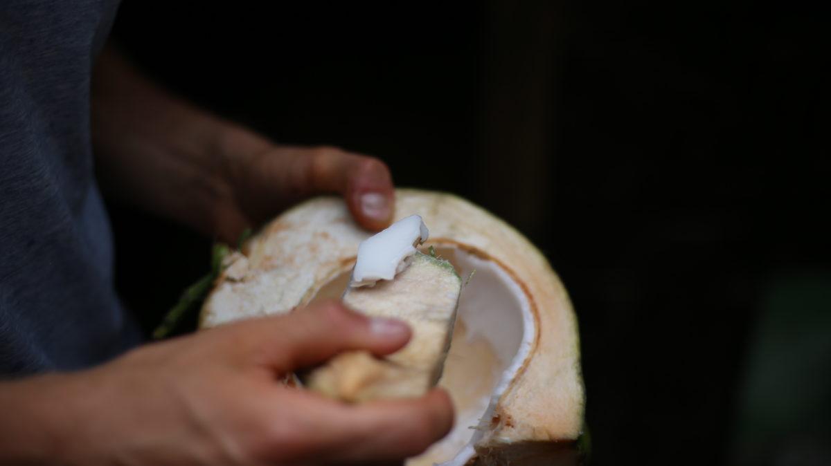 kookostuotteet Indonesia