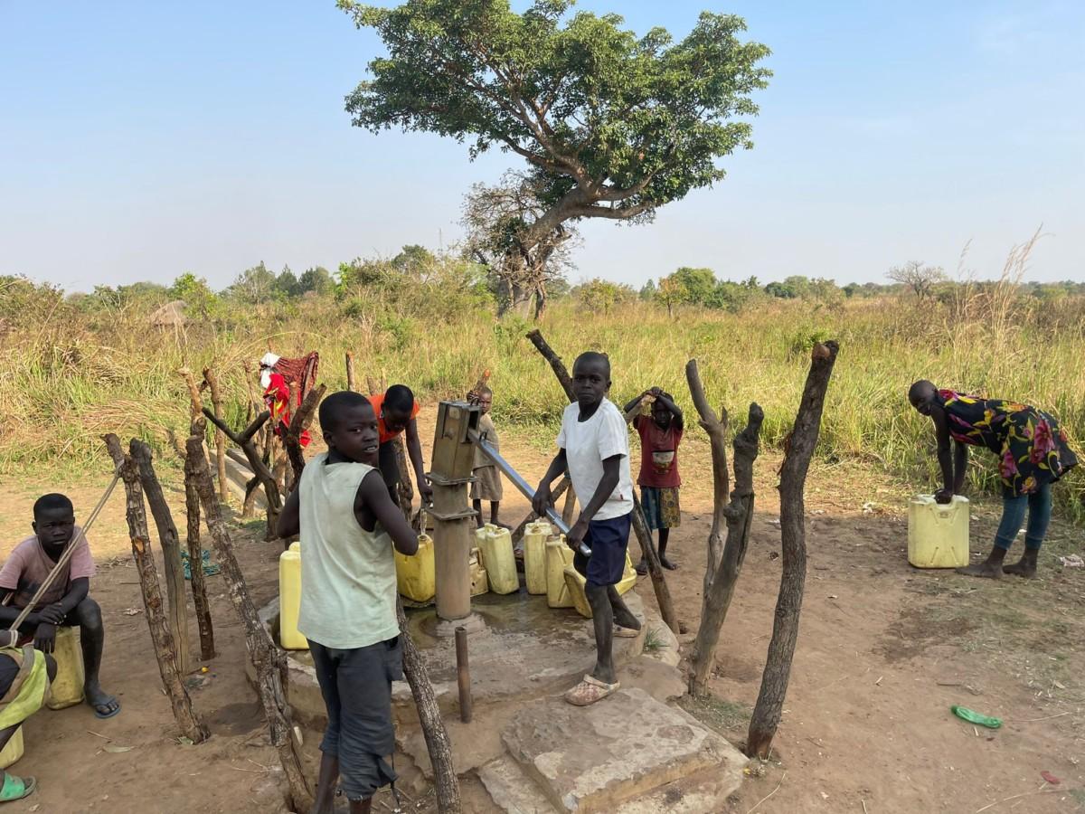 Uganda chia-viljelmä